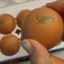 믿음축산농장 이미지