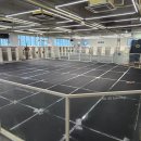 왈왈애견 이미지