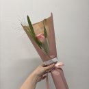 안단테 | [꽃수업] 플로리스트 양성과정(기초입문) 전체 후기: 안단테꽃예술 강남 / 수업 고르기 TIP