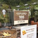 코끼리세탁 이미지