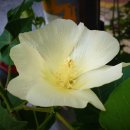 성환 행정사 사무소 이미지