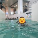 주)용평리조트 피크아일랜드 이미지