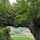 도담삼봉 자전거길 이미지