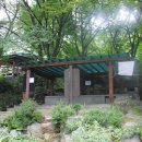 달마약수터 Daum카페
