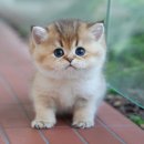 청도메디컬 이미지