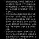 고양이 무마취미용 고미고미 화명점 이미지