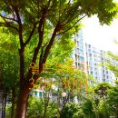 상인택지 이미지