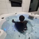 대신종합카 이미지