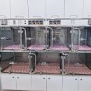 율하 다나동물병원 이미지