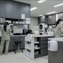 사랑우리 愛 동물병원 | 안산24시동물병원 고양이 결막염 허피스 바이러스 치료 후기