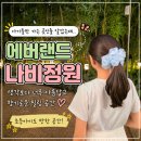 [용인] 에버랜드 나비정원 후기｜초등학생도 반한 힐링 공간