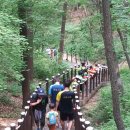 바른태권도 체육관 이미지