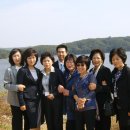 그린예식장 Daum카페