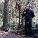 자연애 민박 이미지