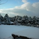 청태산자연휴양림 이미지