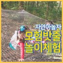 자놀자 이미지