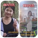 렛츠고온열찜질옥구점