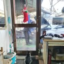 진성자동차공업사 이미지