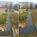 전주대학교사범대학부설고등학교