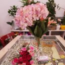 커피꽃향기 이미지