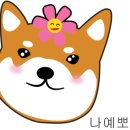 뉴욕쟁이디저트배방점