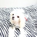 구르미살롱 이미지