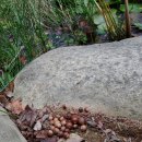 연희자연마당 공원 이미지