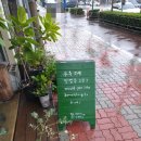 카페씨에스타 - 117717 | 카페씨에스타
