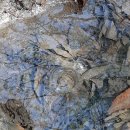 법화사지 이미지