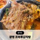 통일감자탕 | 광명사거리 혼밥 점심 맛집 조마루감자탕 광명점 뼈해장국 후기