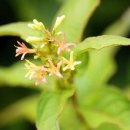 길목가든 이미지