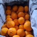 준이농장1 이미지