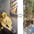 k-복싱다이어트 이미지