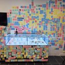 성남애견 이미지