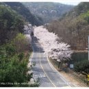 충청농장 이미지