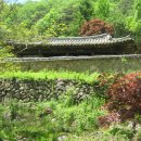 풍산태사로(풍산읍) 이미지