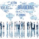 에이치에스네트워크 이미지