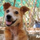 토실 토실 이미지