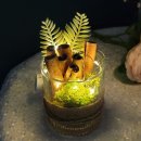 더라임 - 군포시 산본천로 62 | 더라임