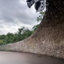 요가(오후) 이미지