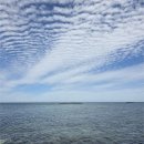 하루에베이커리한림점 | 260605: [제주도 여행] 오늘은 친구와-4박 5일 여행기_Day.2 서귀포 성산, 제주시 애월, 제주시 한림