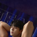 버썸버디짐 이미지