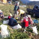 금산면사무소 이미지