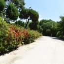 산애들애펜션 이미지