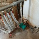 농암로(와룡면) 이미지