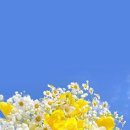 경기대로652번길 이미지