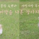 간식마당