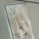 반하누 - 서구 | 반하누