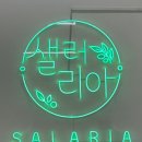 샐러리아화성