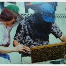 호운농장 이미지